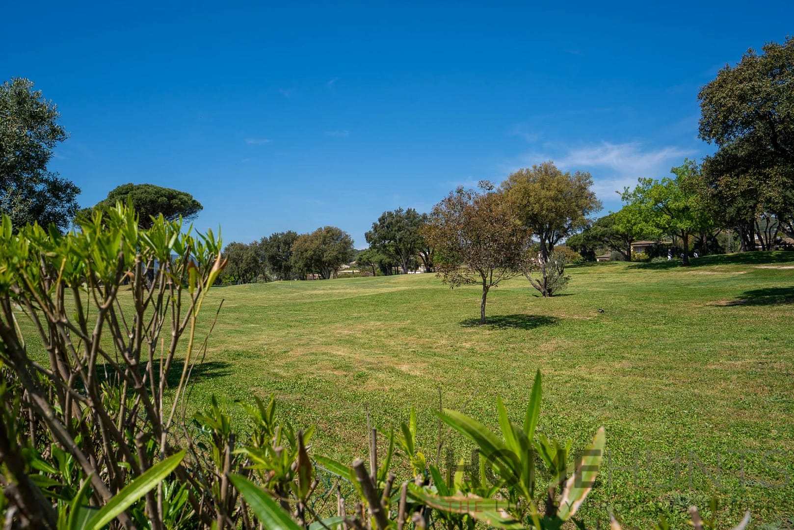 property_HH-16145386-4