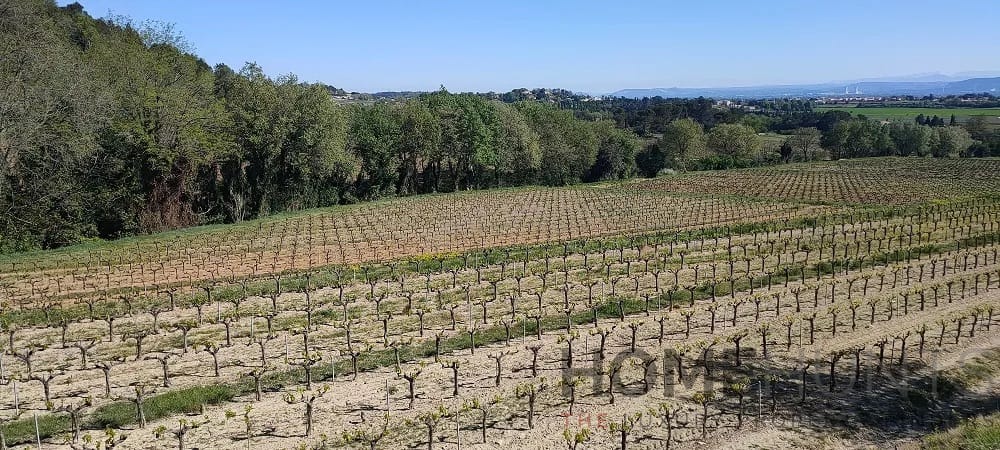 property_HH-15620945