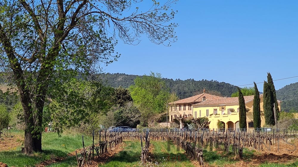 property_HH-14062592-1