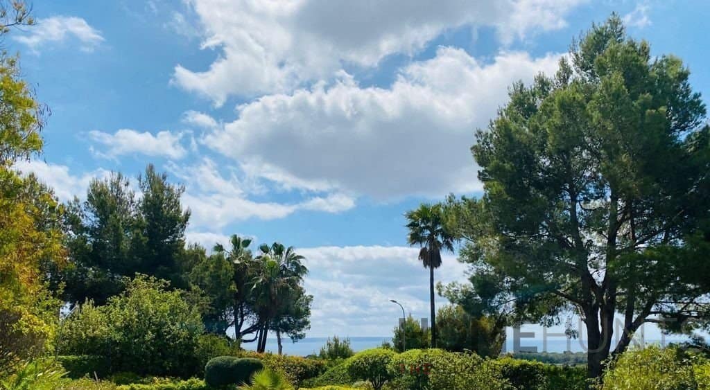 property_HH-14817468