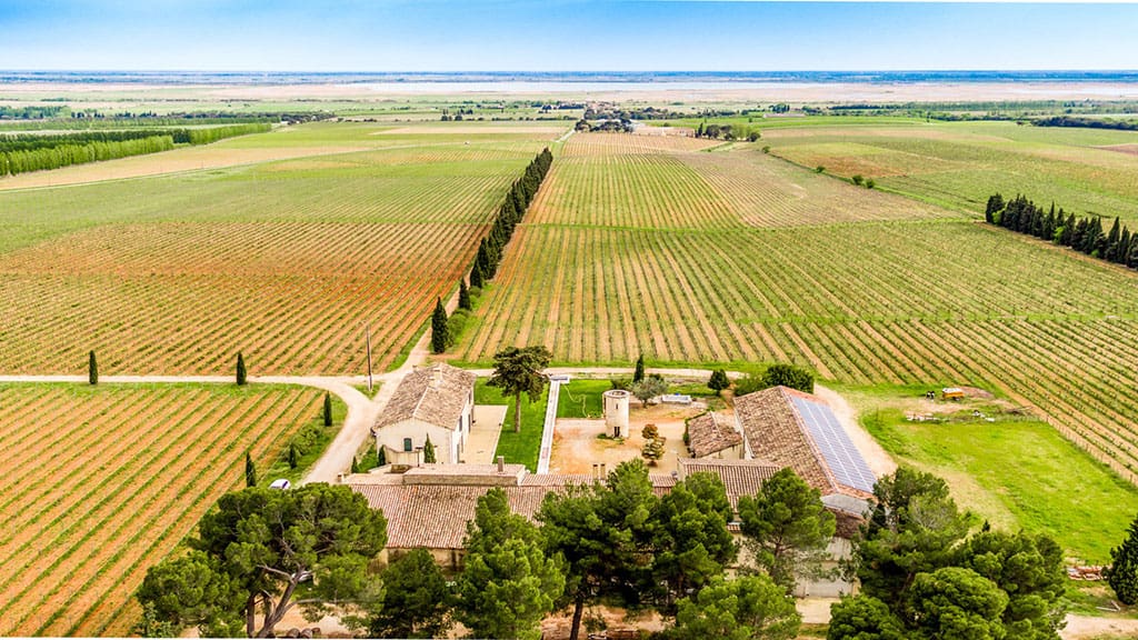 Buying a French Vineyard? What You Need to Know 3 vineyard-property