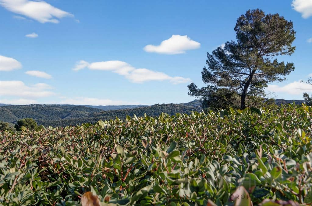 property_HH-16101196-9