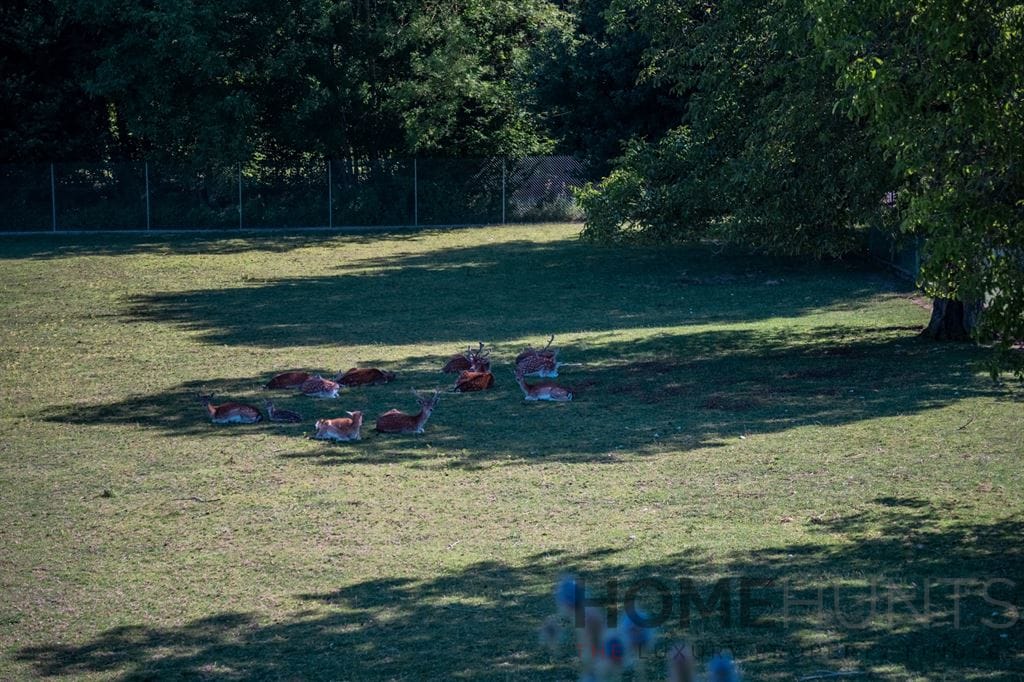 property_HH-15808925-17