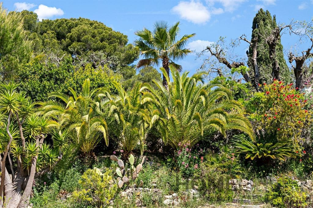 property_HH-15800327-2