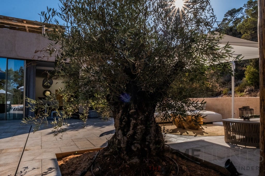 property_HH-15611446-10