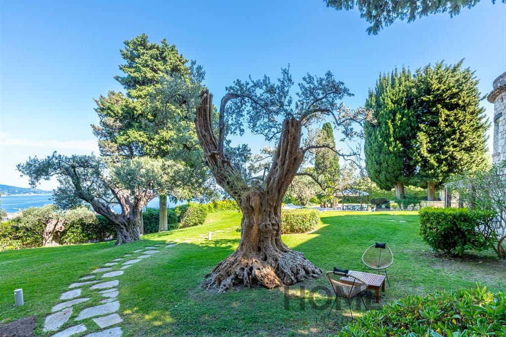 property_HH-15818035-17