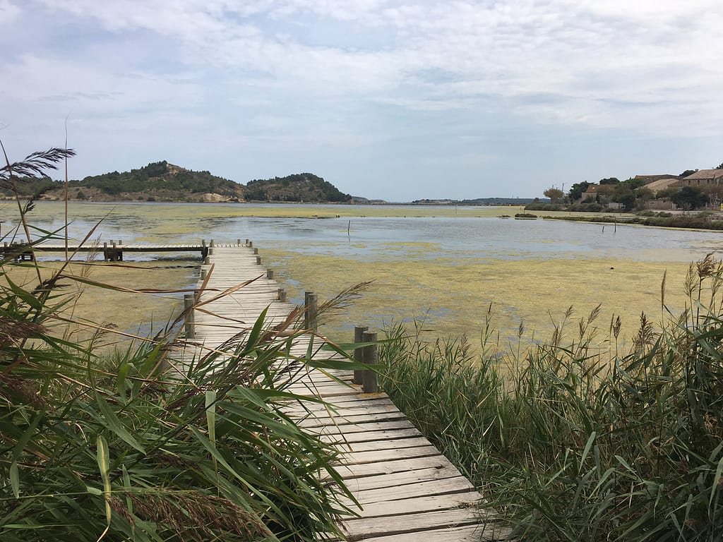 Five of the Best Places to Buy Luxury Property in the Aude 6 Five of the Best Places to Buy Luxury Property in the Aude 6