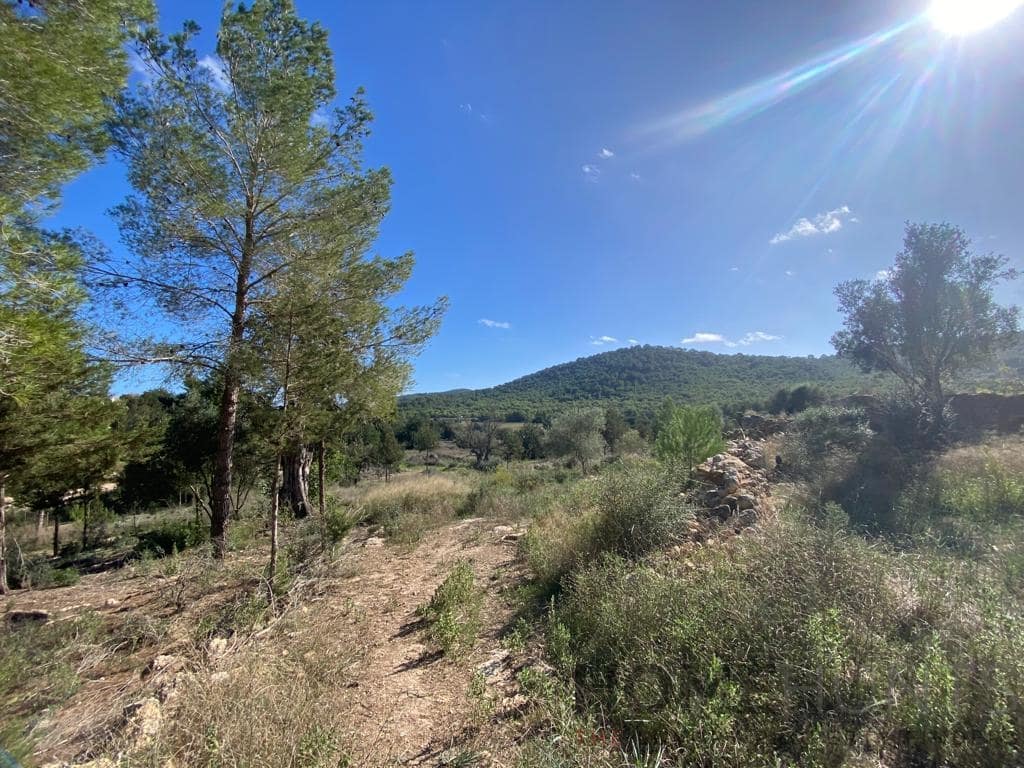 property_HH-15020807-5