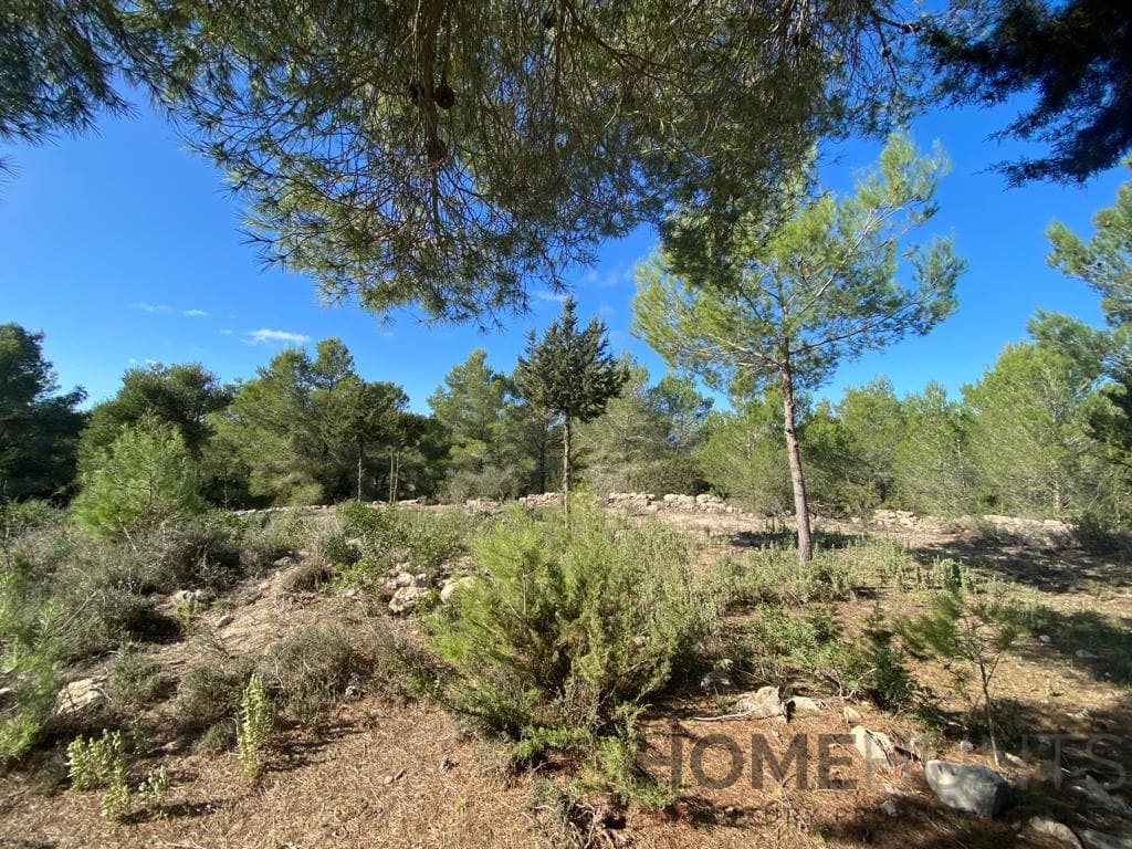 property_HH-15020807-7