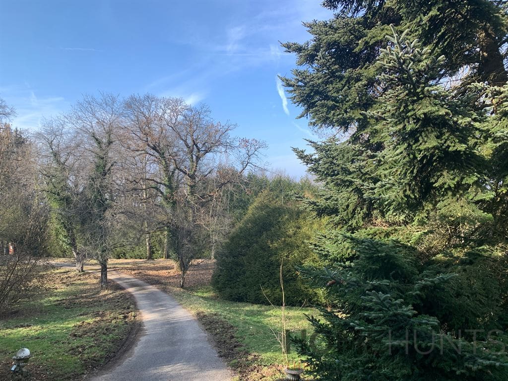 property_HH-15697021