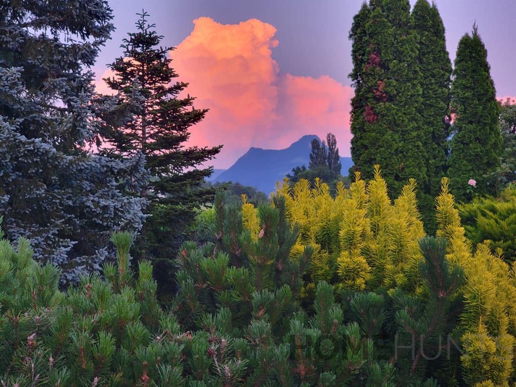 property_HH-15936535-17