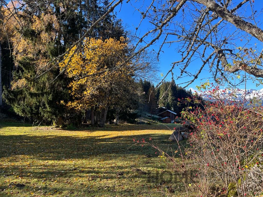 property_HH-14749023-2