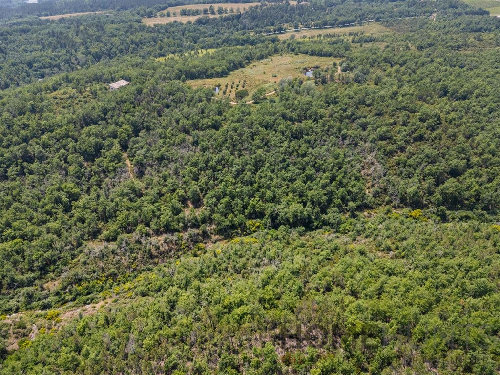 property_HH-16101245-11