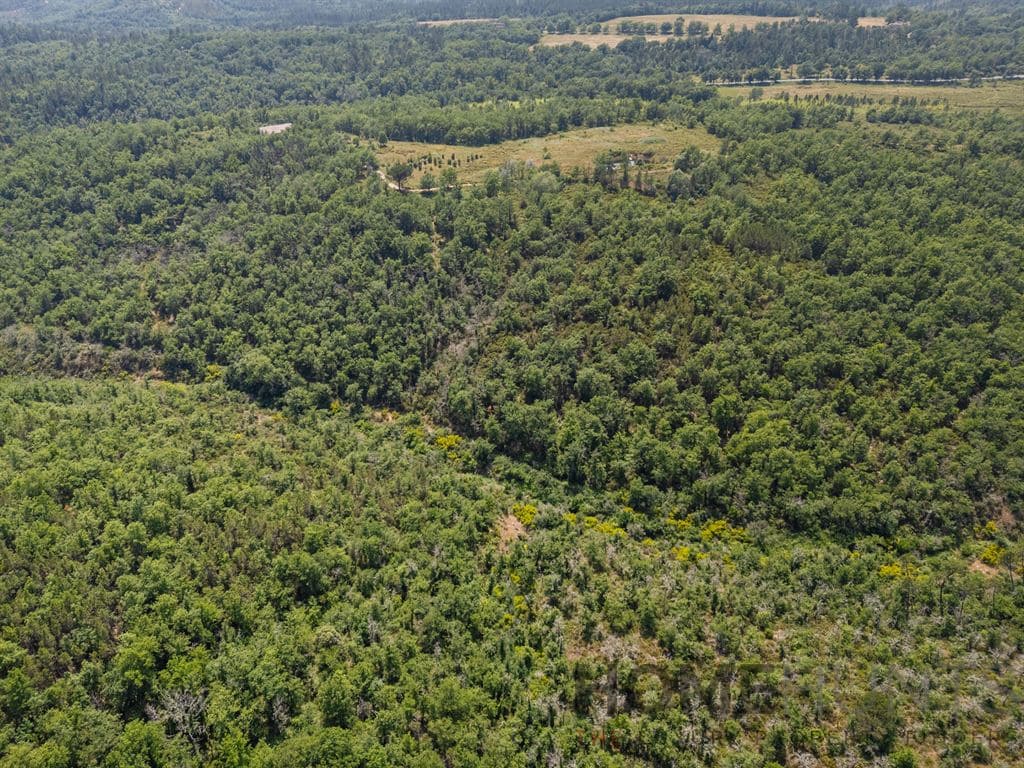 property_HH-16101245-12