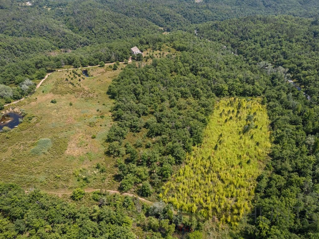 property_HH-16101245-13