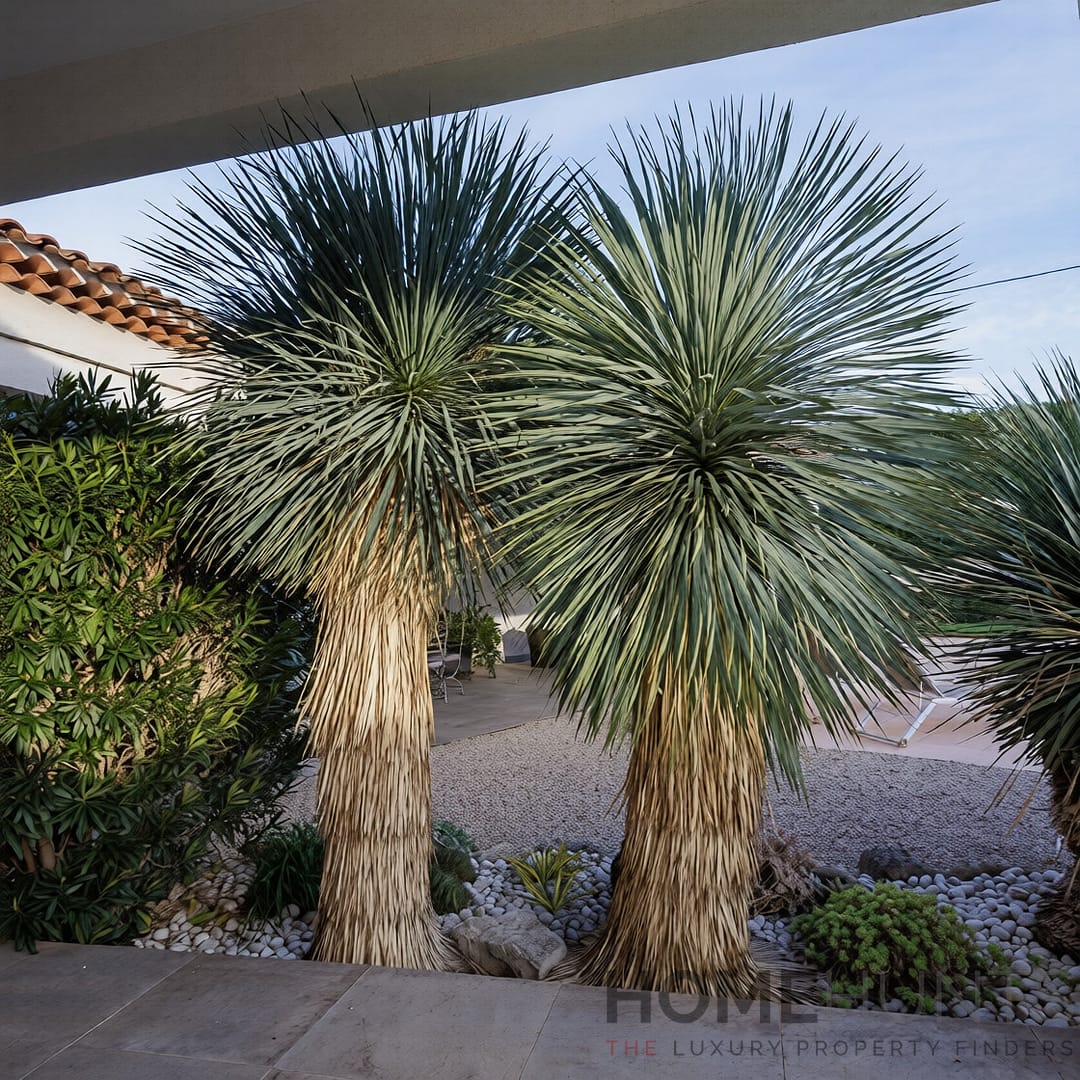 property_HH-16021921-20