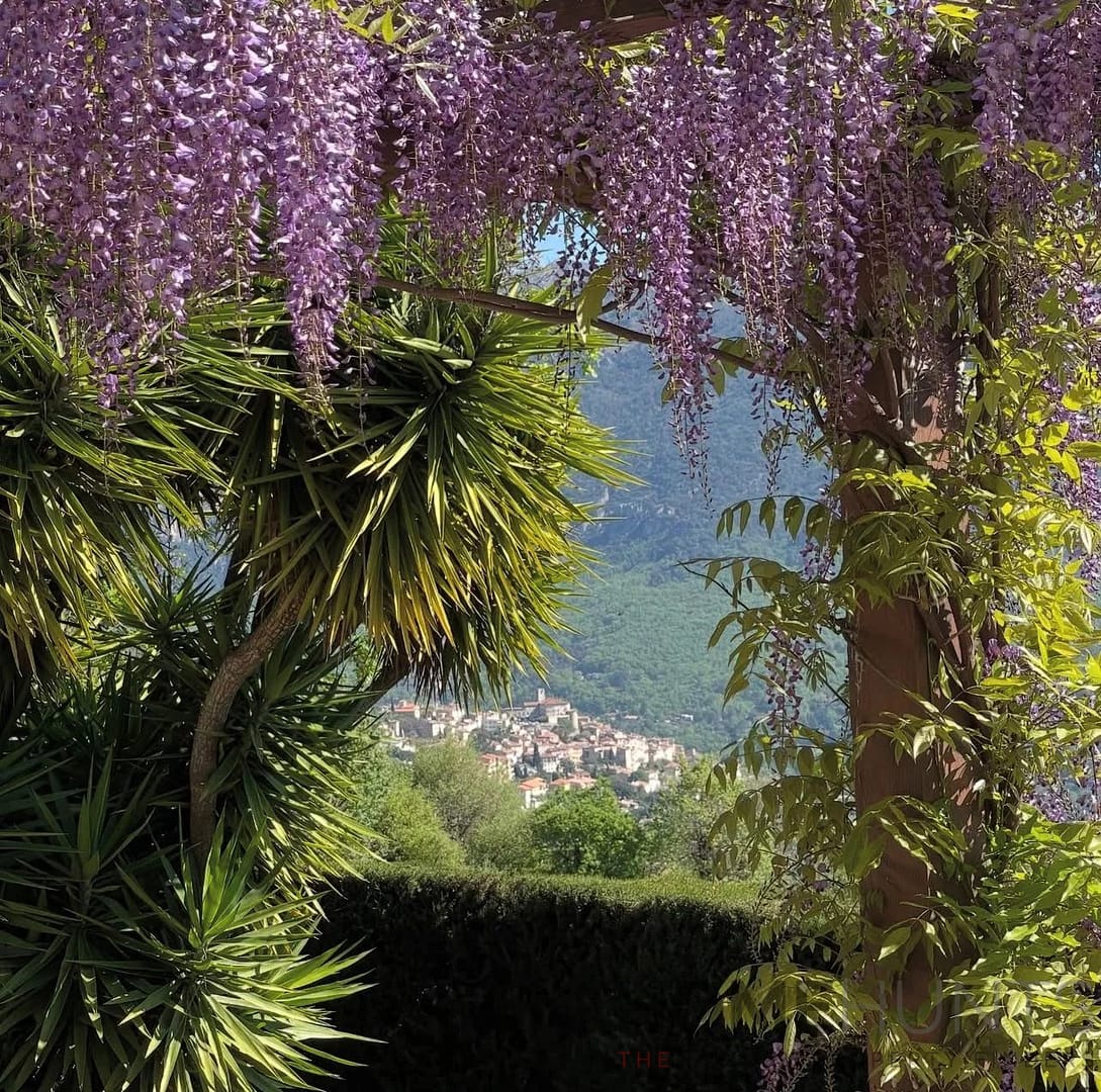 property_HH-16045436-3