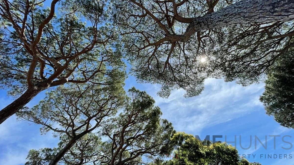 property_HH-16045425-18