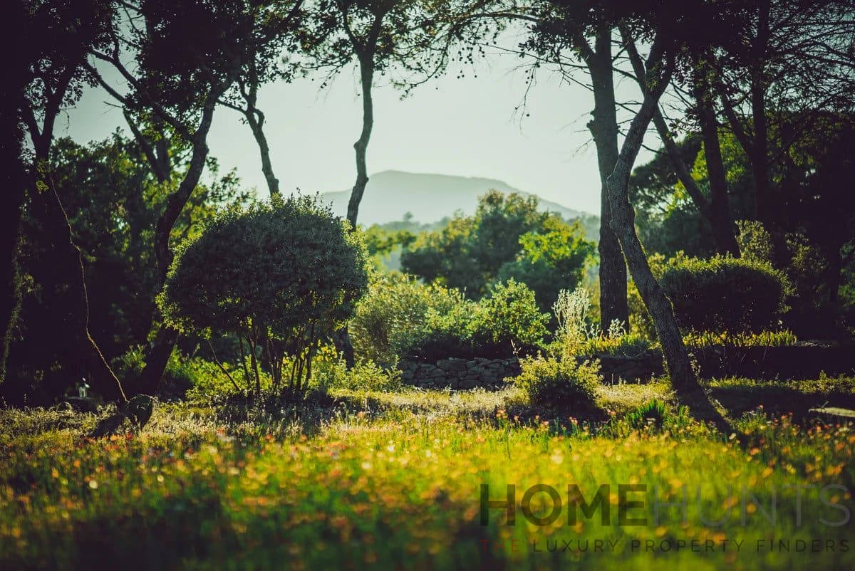 property_HH-15607951-17