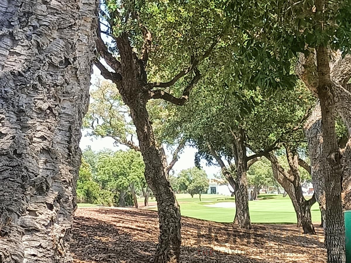 property_HH-15641783-4