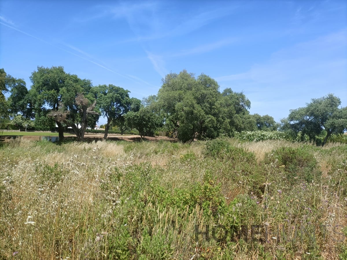 property_HH-15641783-6