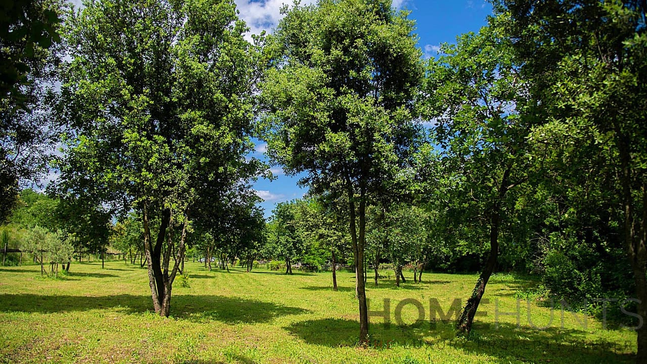 property_HH-15523452-20