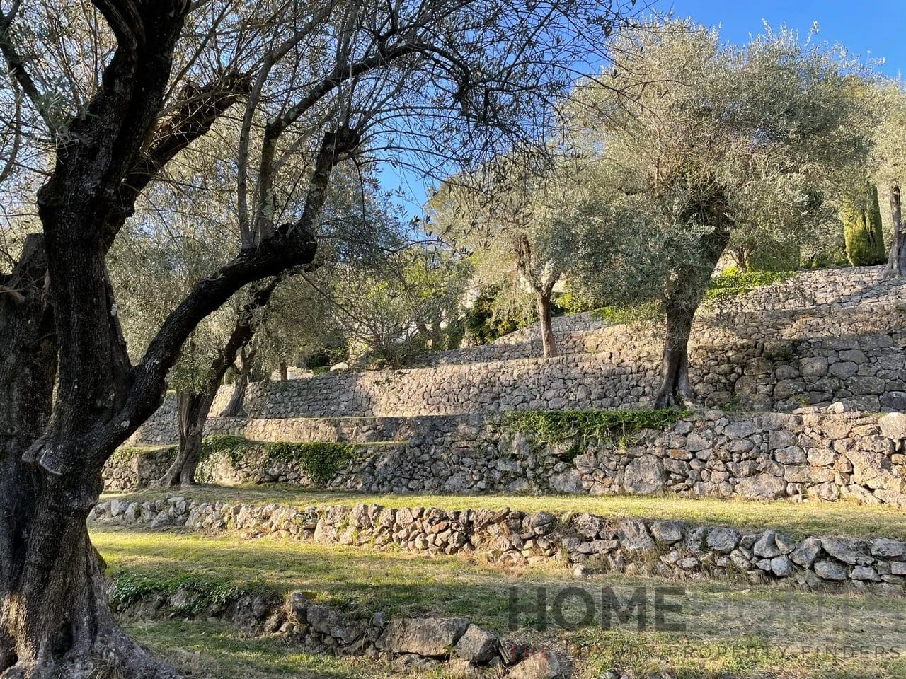 property_HH-15943843-24