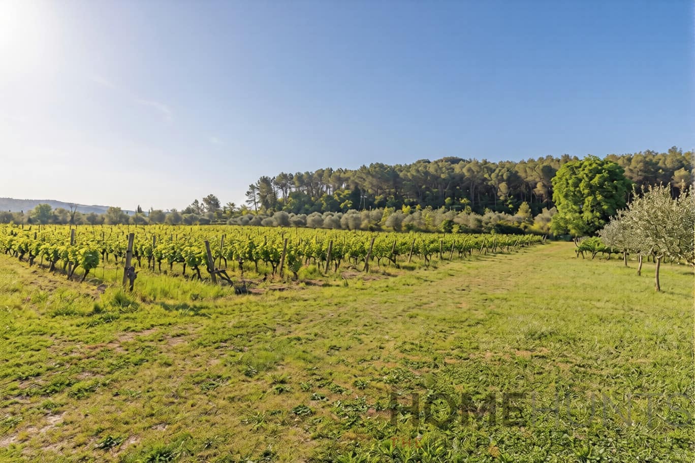 property_HH-16161377-17