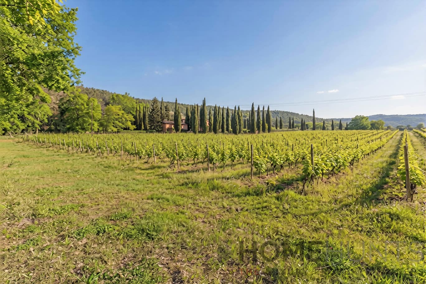 property_HH-16161377-5