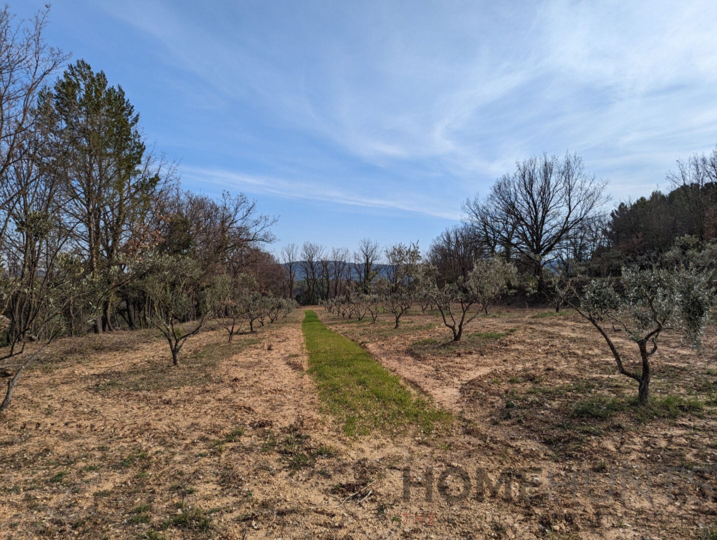 property_HH-14914439-17