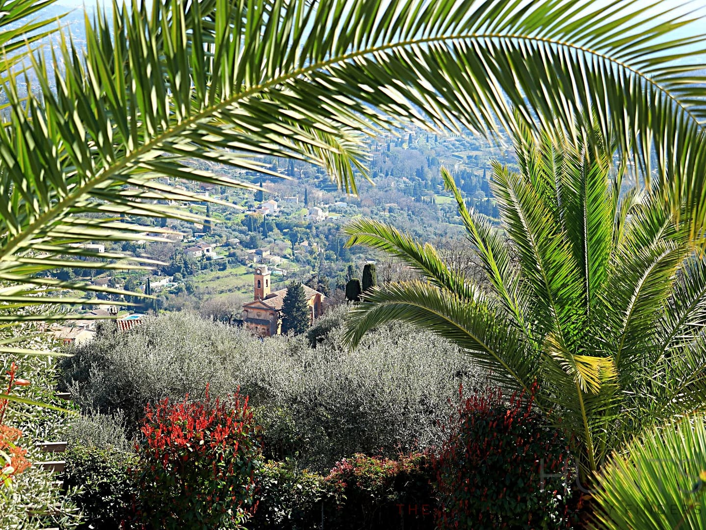 property_HH-15786032-12