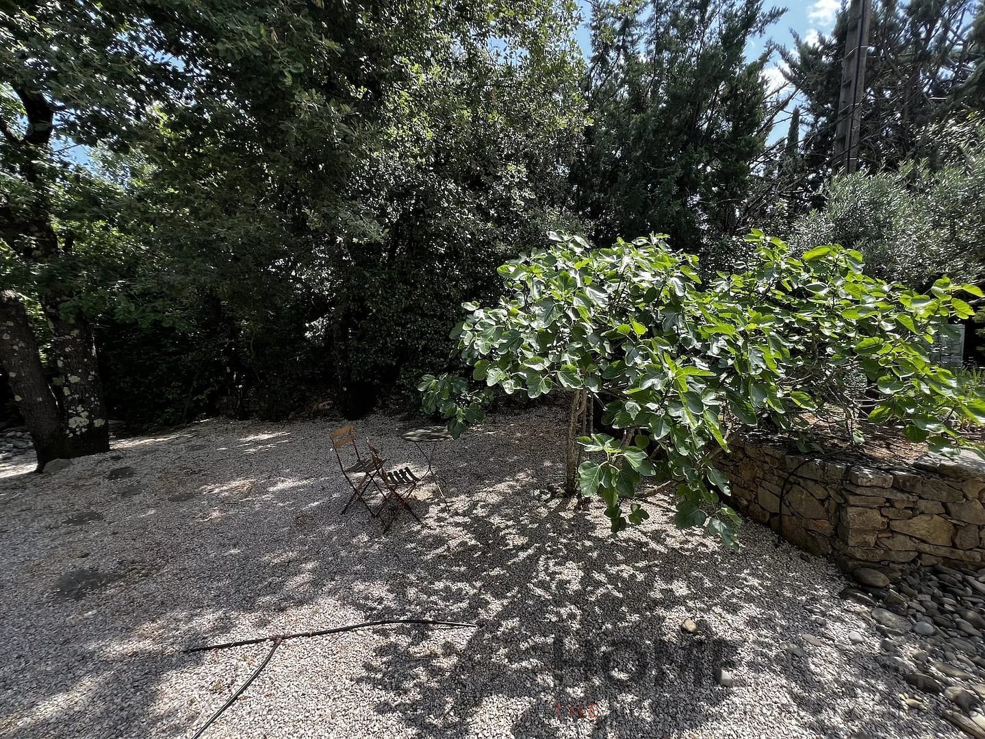 property_HH-15750387-25