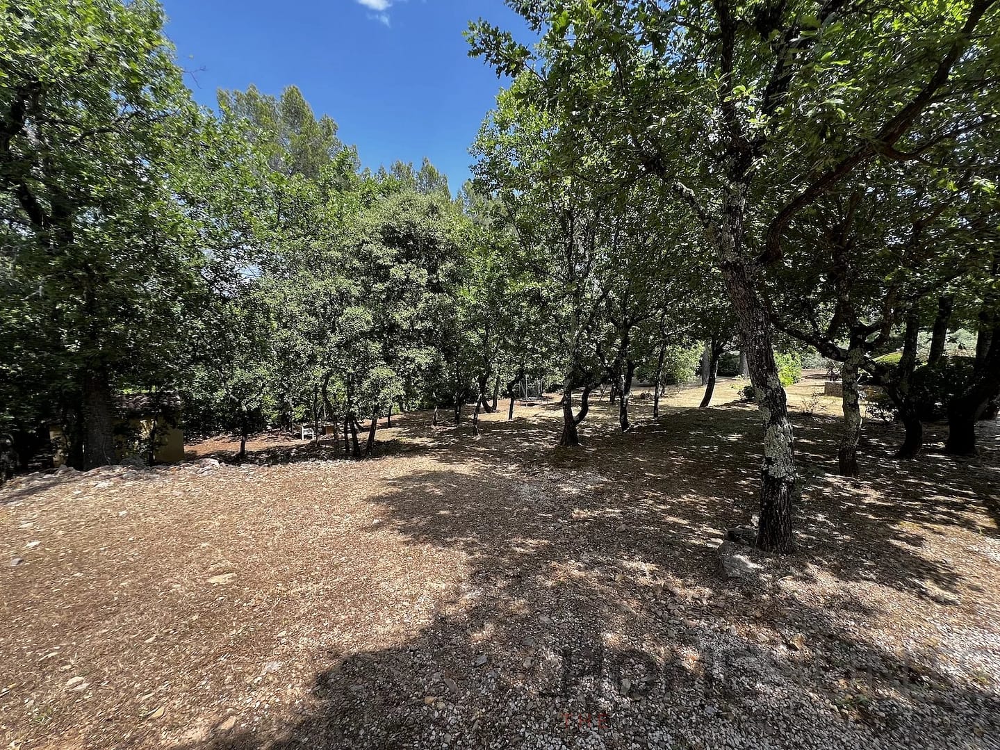 property_HH-15750387-30