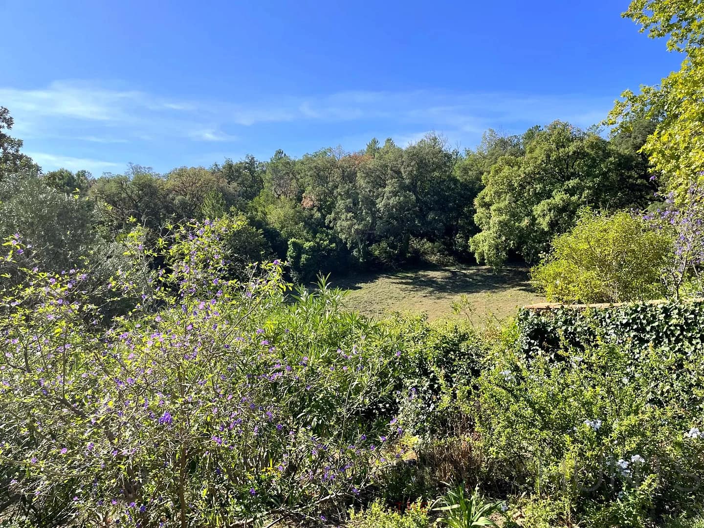 property_HH-15150290-17