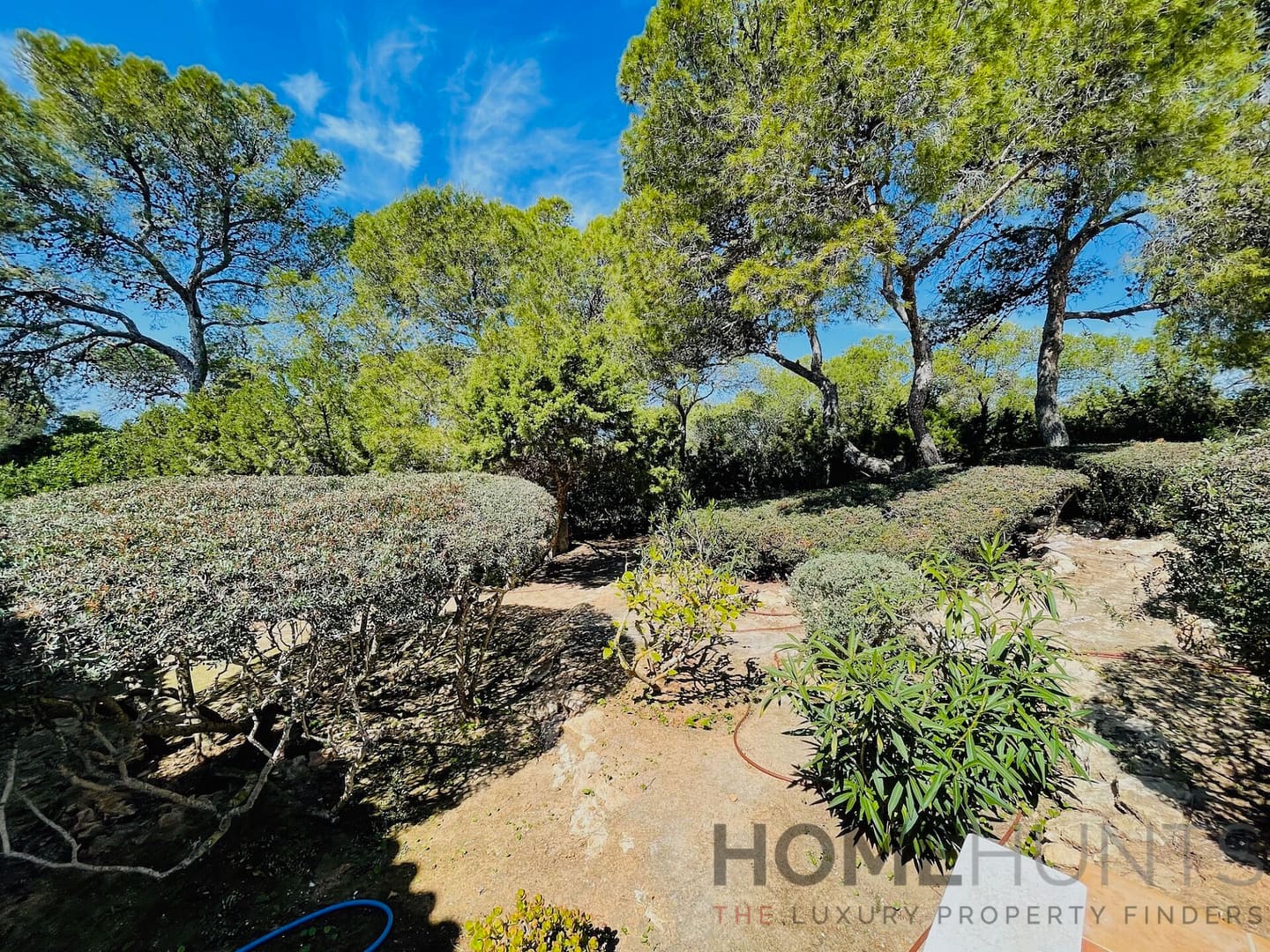 property_HH-15202393-25