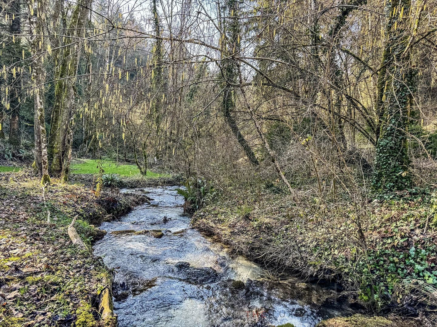 property_HH-15270254-12