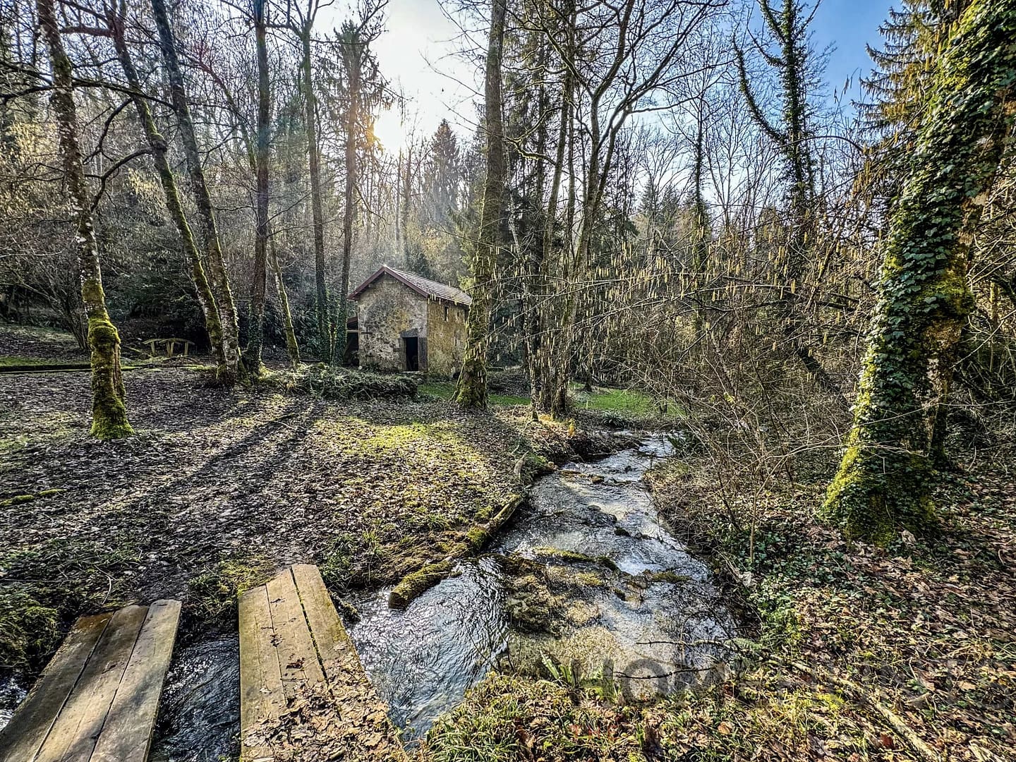 property_HH-15270254-19