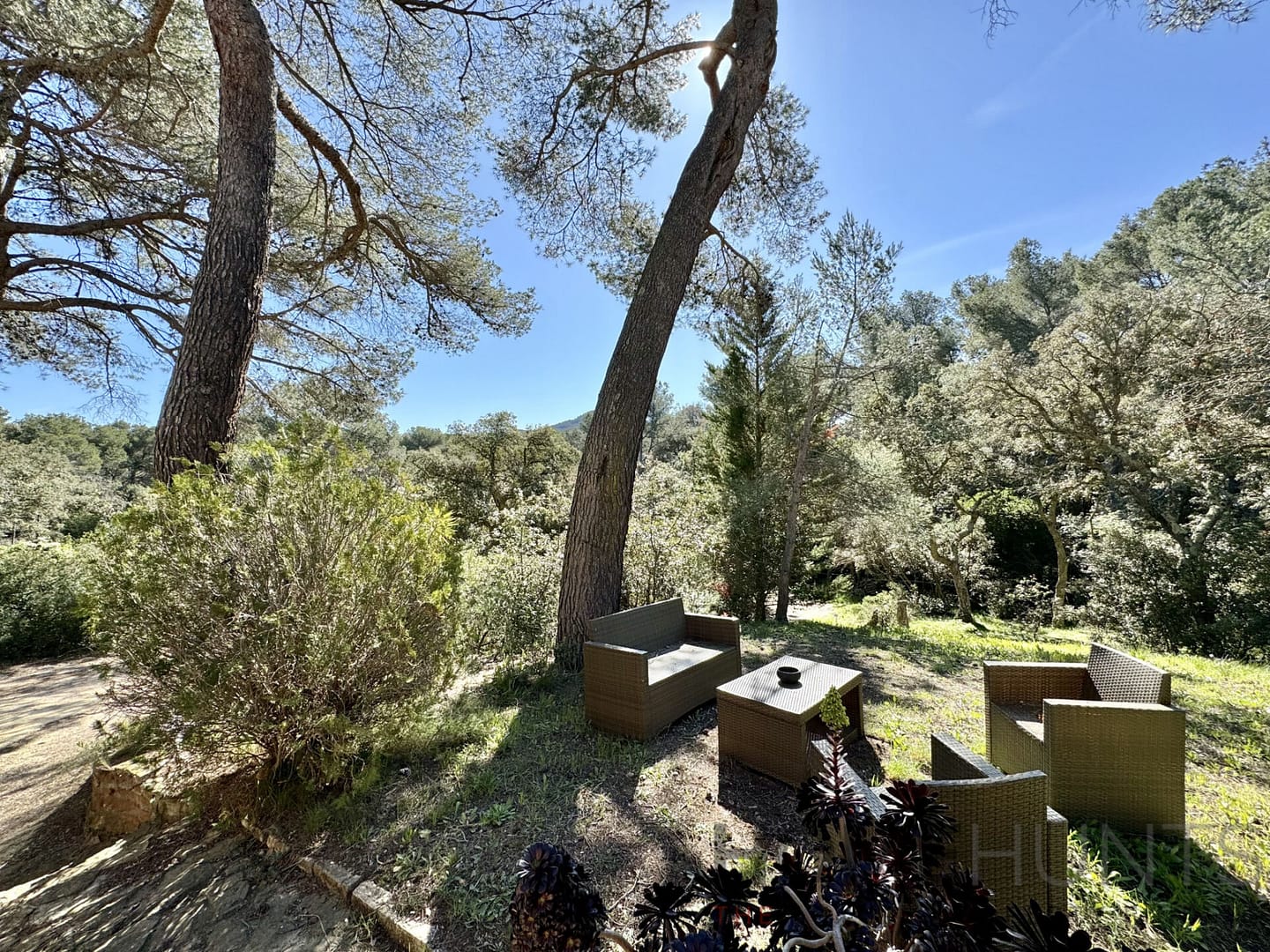 property_HH-15312906-2