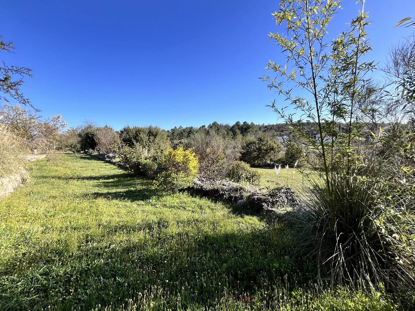 property_HH-15313320-6