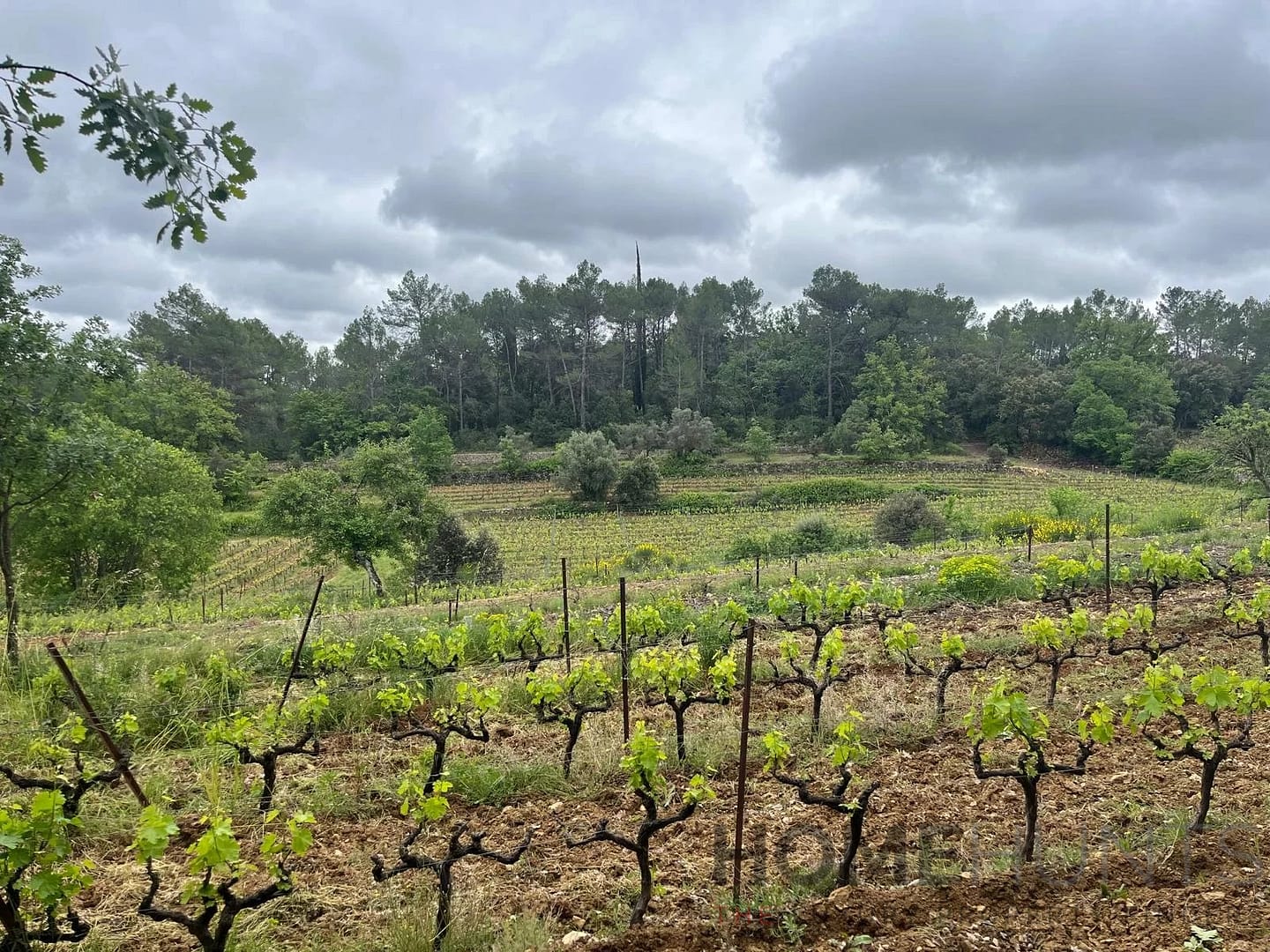 property_HH-15382652-10