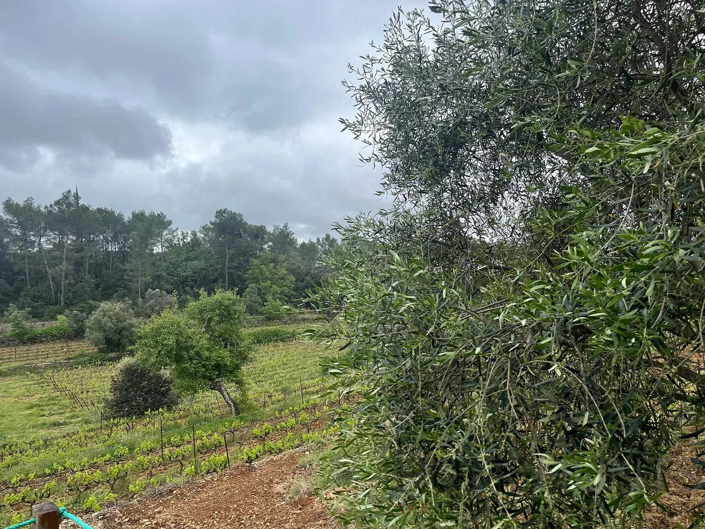 property_HH-15382652-9