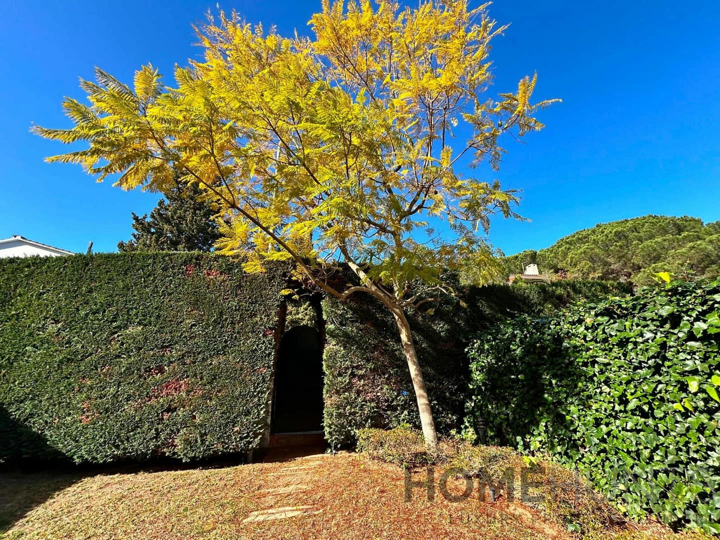 property_HH-15455111-28