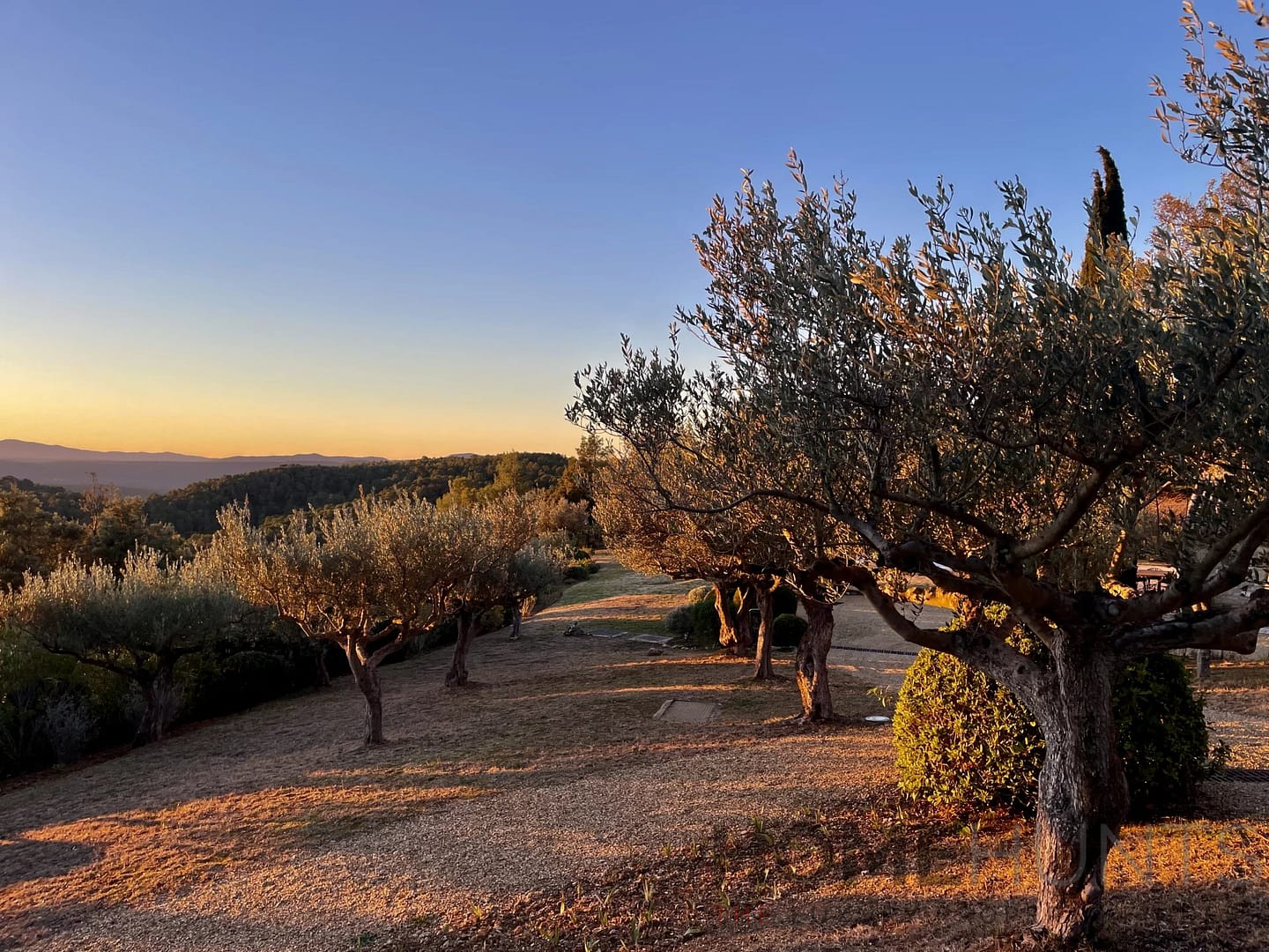 property_HH-15233731-7