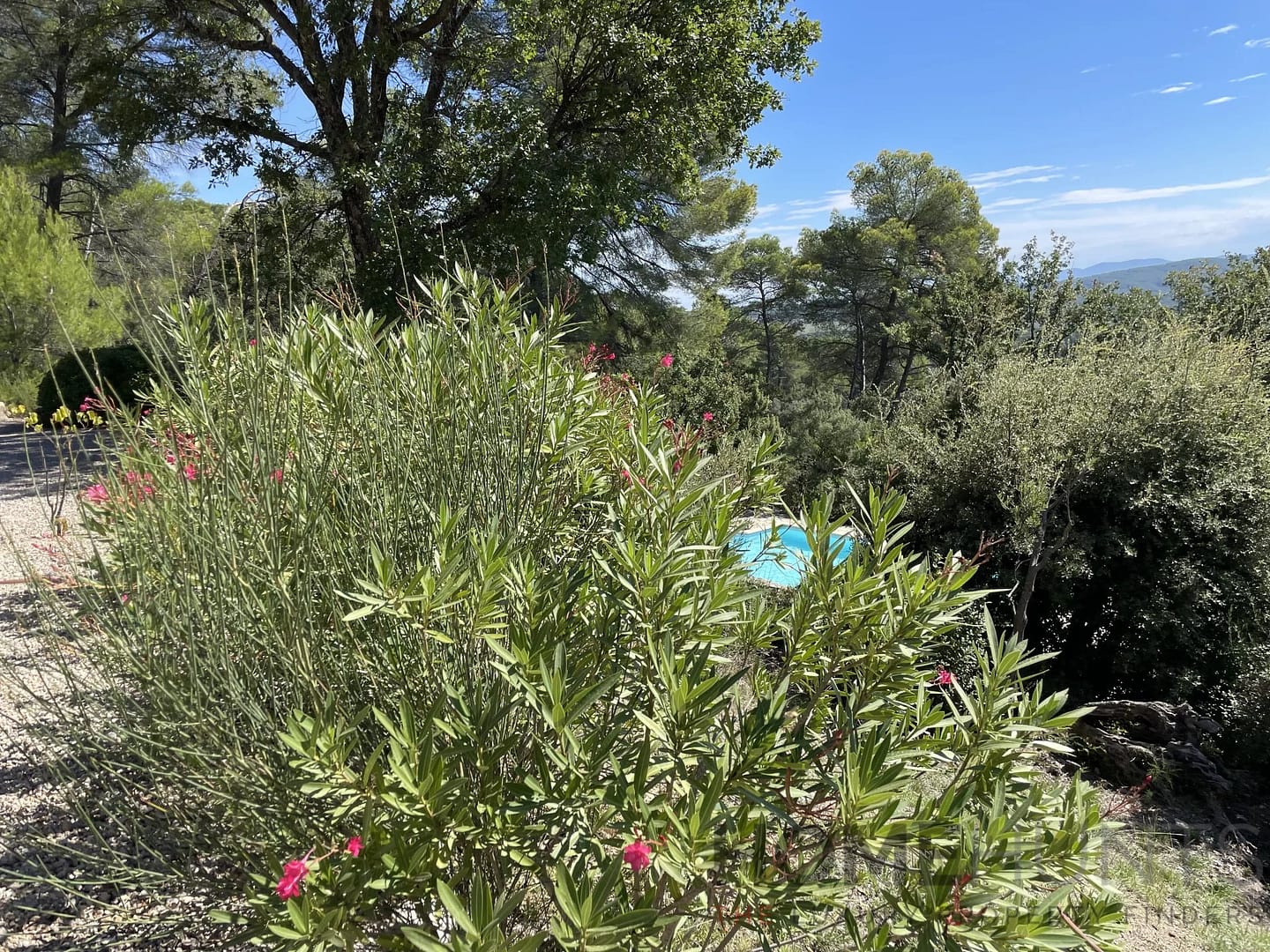 property_HH-15527904-3