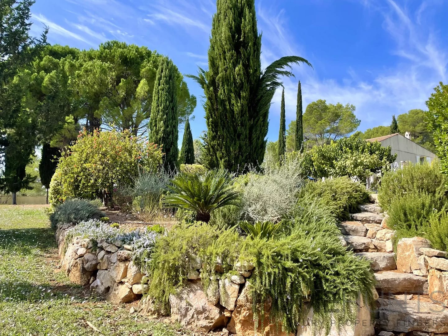 property_HH-15575396-25