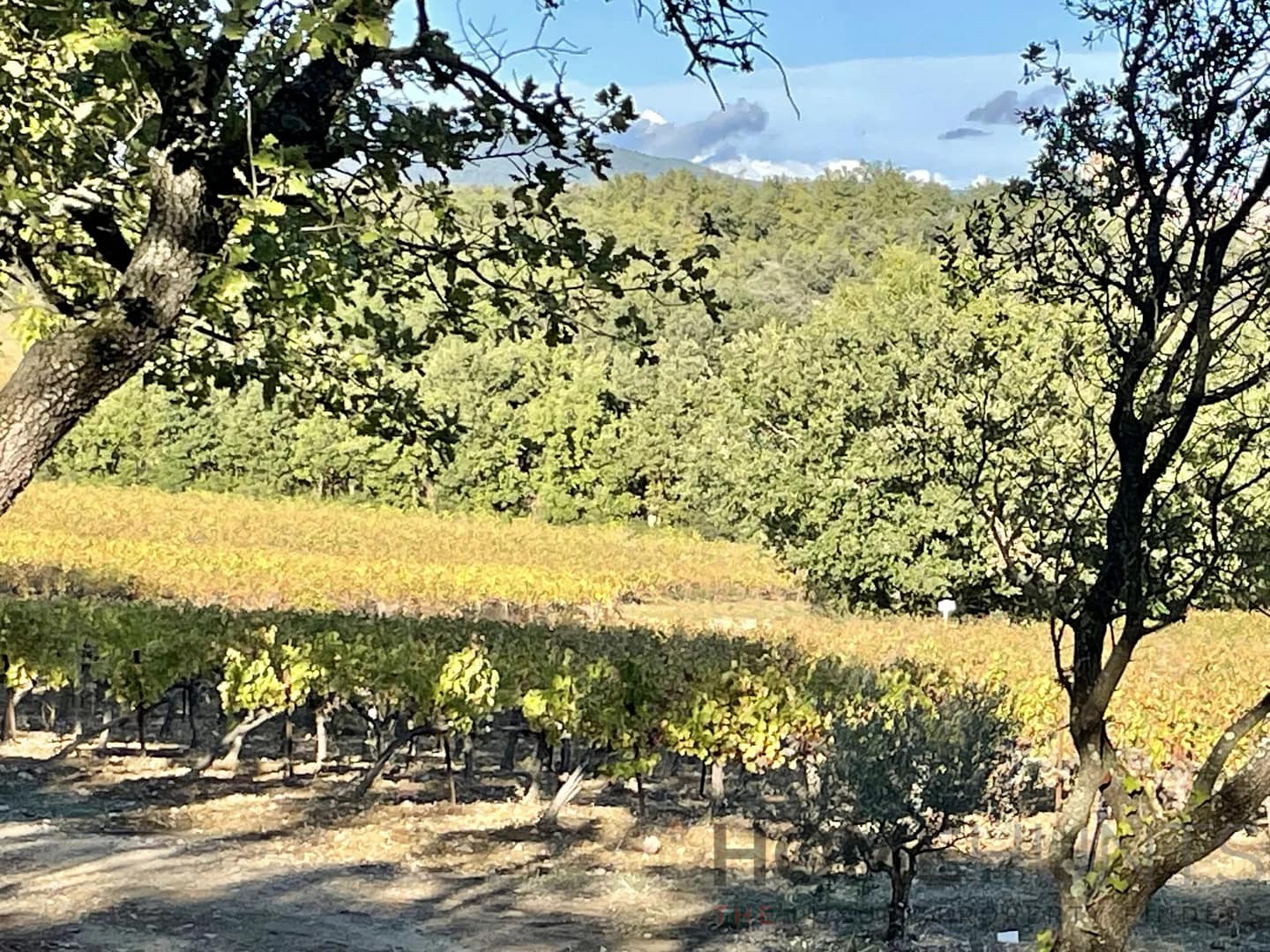 property_HH-15596188-2