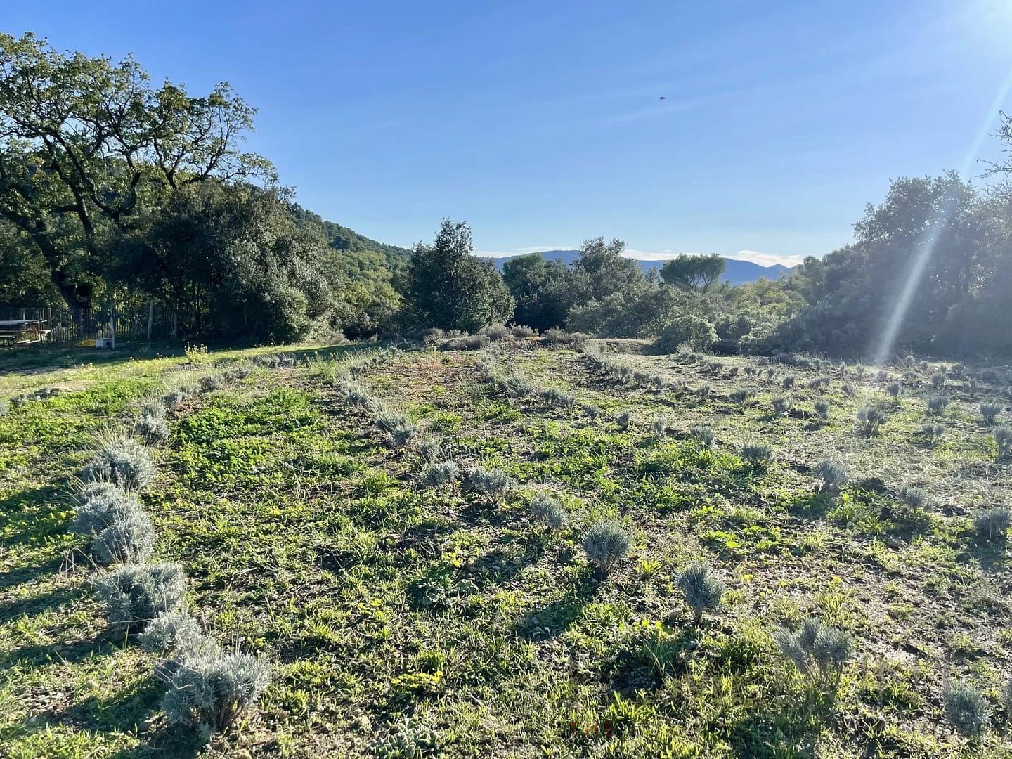 property_HH-15596188-5