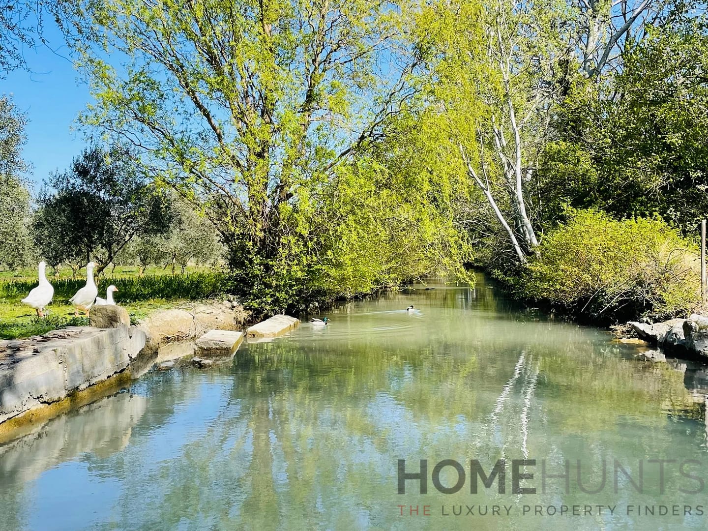 property_HH-15607266-20