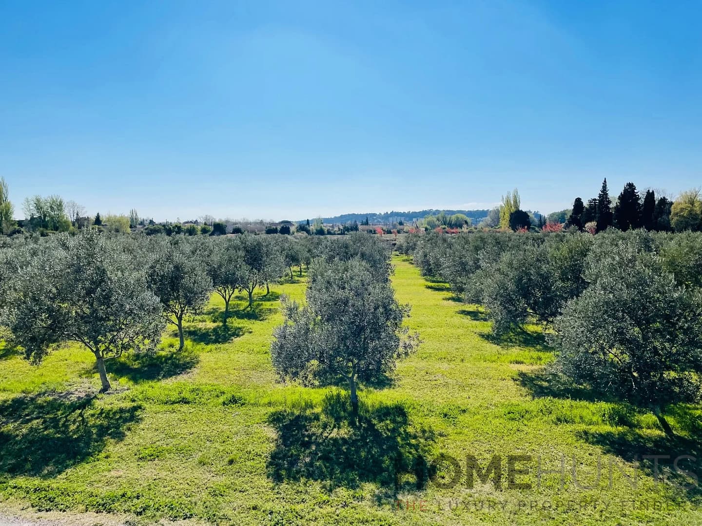 property_HH-15607266-21