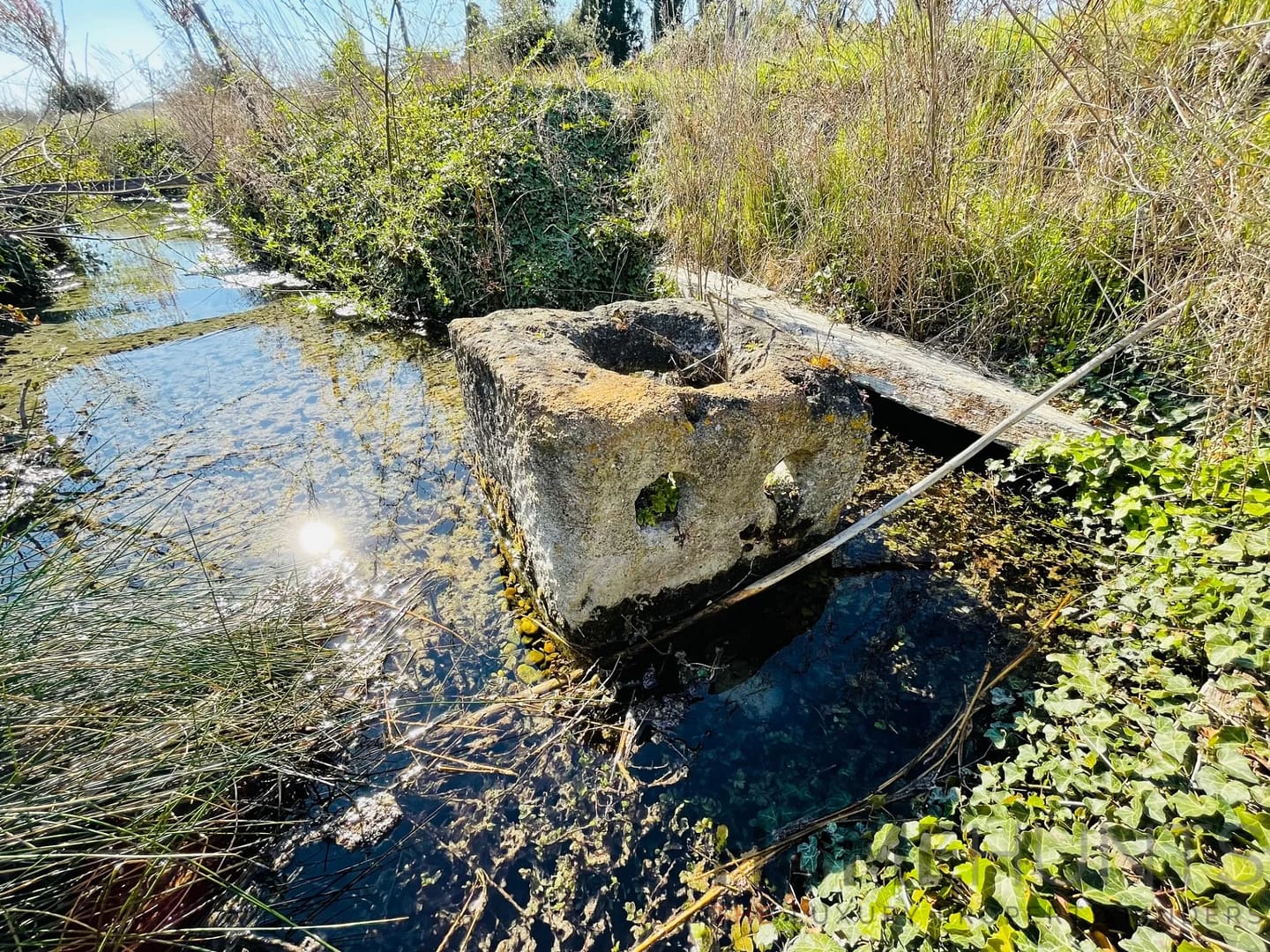 property_HH-15607266-23